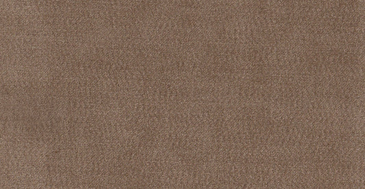 AP/Essentials 28/109504 Valerio Fawn/20149