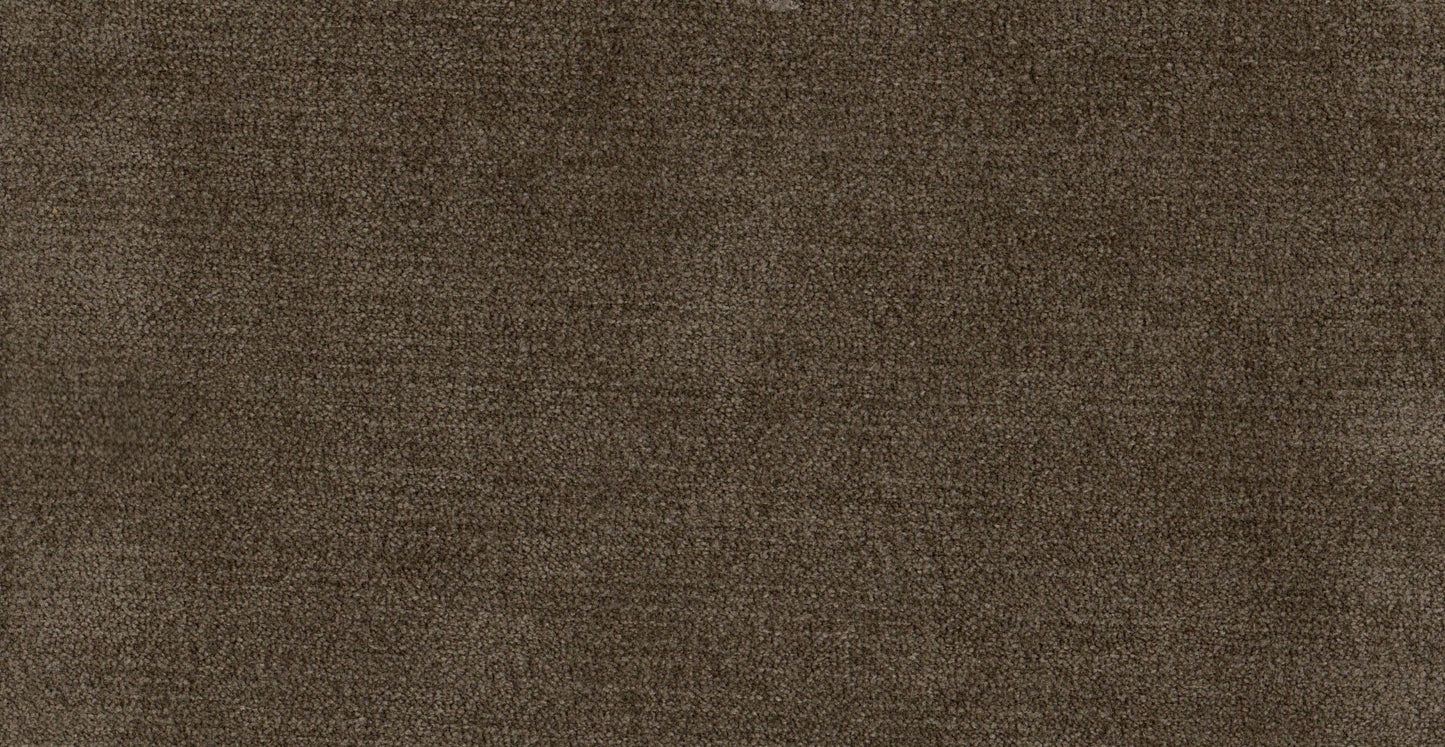 AP/Essentials 28/109505 Valerio Winter Twig/20149