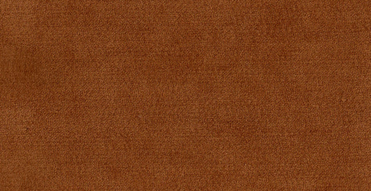 AP/Essentials 28/109539 Valerio Pumpkin/20149