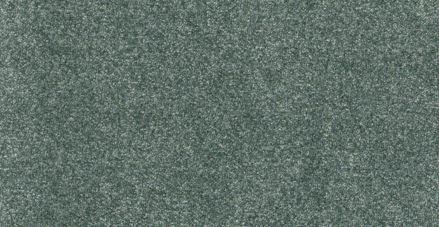 AP/Essential 31/109902/20148