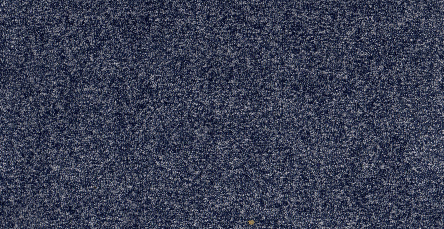 AP/Essential 31/109915/20148