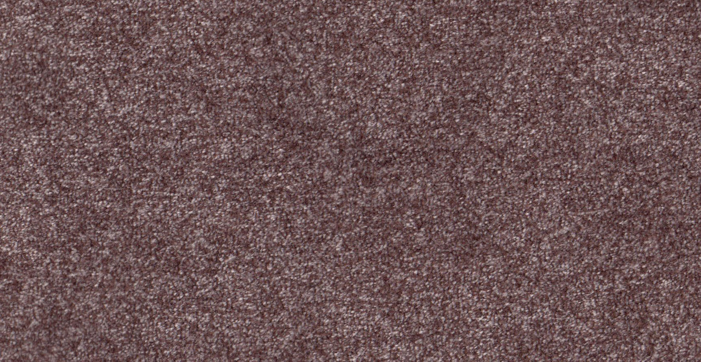 Essentials 36/20279/Benette grape
