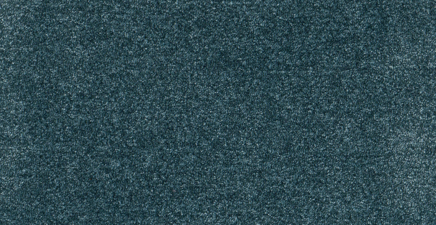 AP/Essential 31/109925/20148