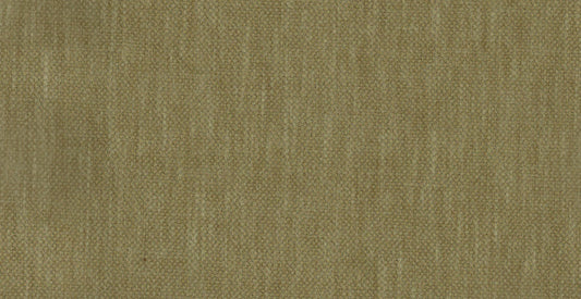 AP/Essentials 32/110214 Noville Olive /20170