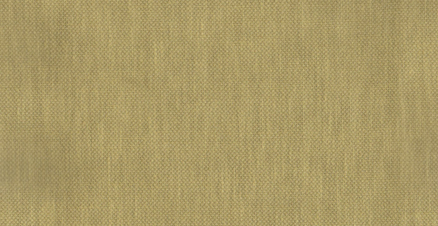AP/Essentials 32/110217 Noville Canary/20170