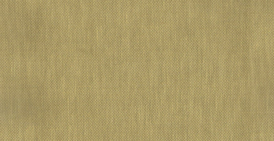 AP/Essentials 32/110217 Noville Canary/20170