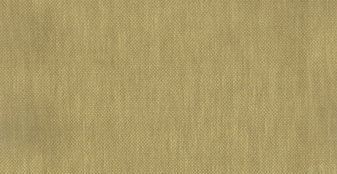 AP/Essentials 32/110217 Noville Canary/20170