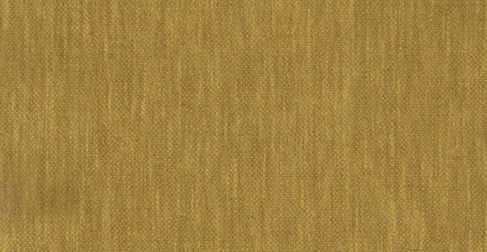 AP/Essentials 32/110218 Noville Mustard/20170