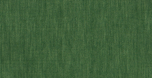 AP/Essentials 32/110241 noville grass/20170