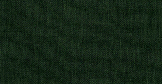 AP/Essentials 32/110242 noville basil/20170