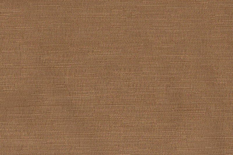 AP/ESSENTIALS 34/110606 Galen Cinnamon