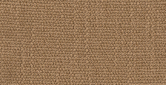 Essentials 36/20278/Octavia Apricot