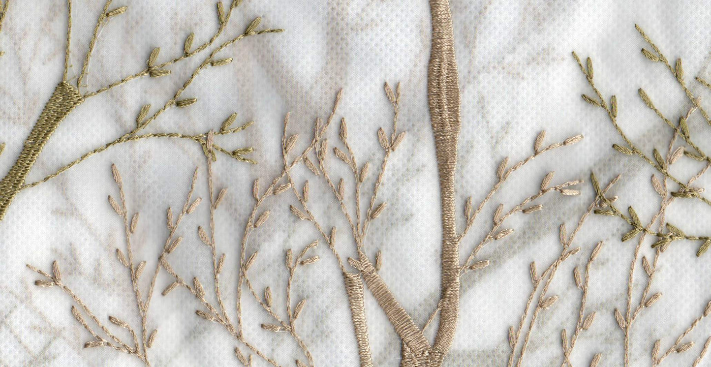 Olive /17803/17424