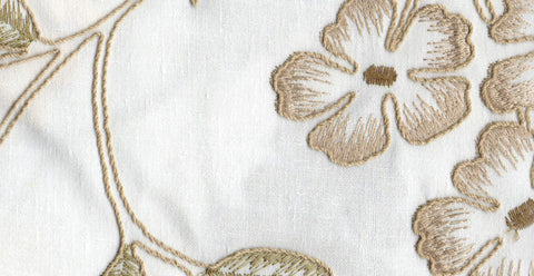 Olive /17806/17424