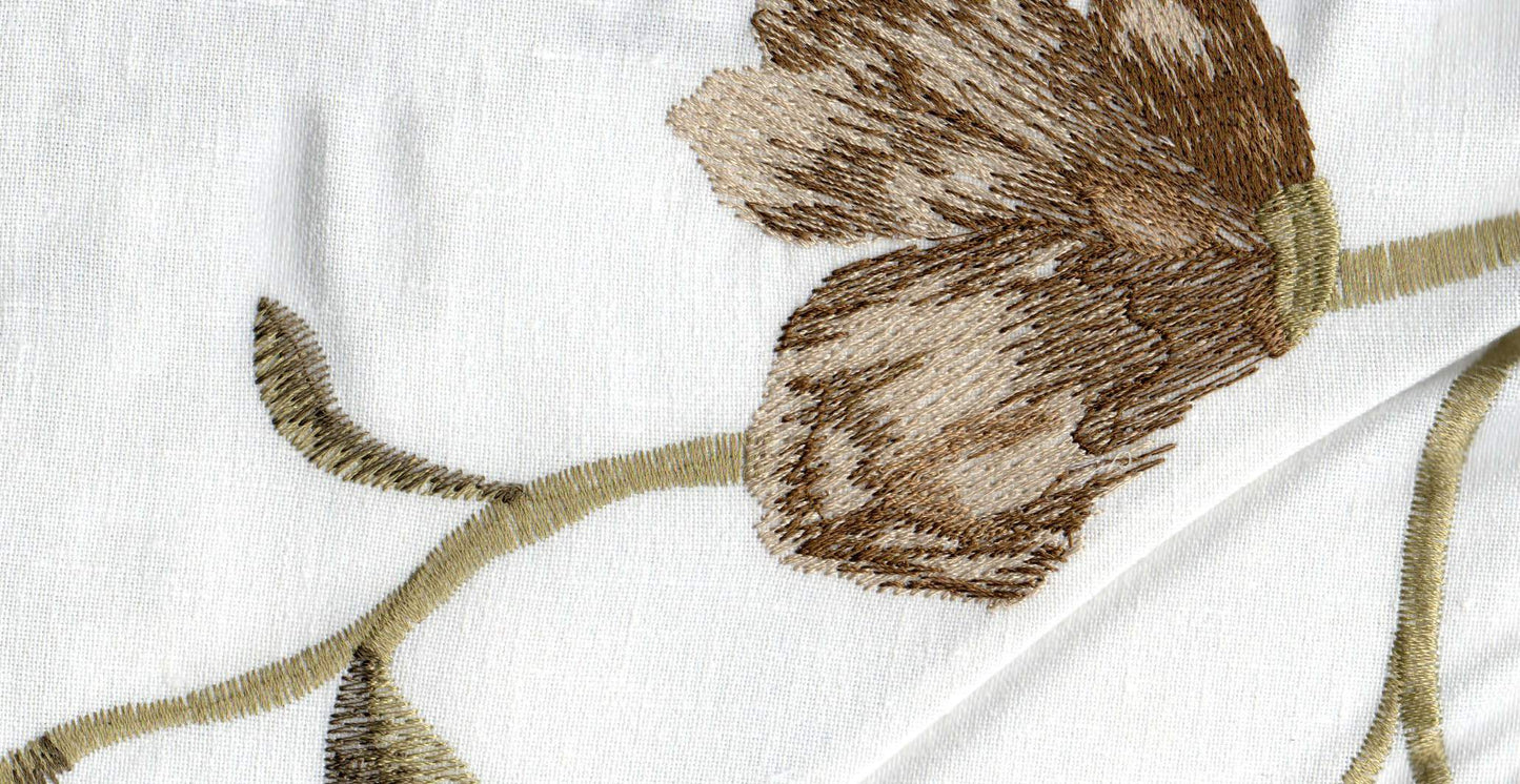 Olive /17814/17424