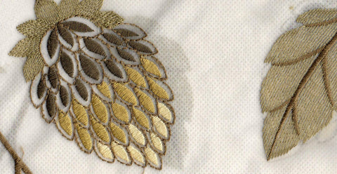Olive /17815/17424