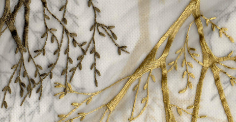 Olive /17817/17424