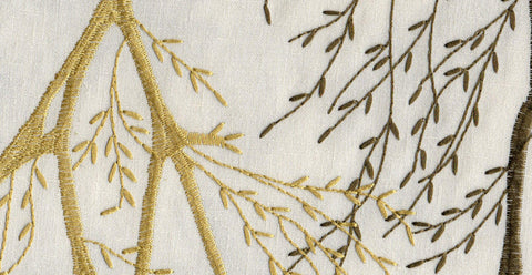 Olive /17818/17424