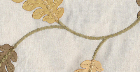 Olive /17822/17424