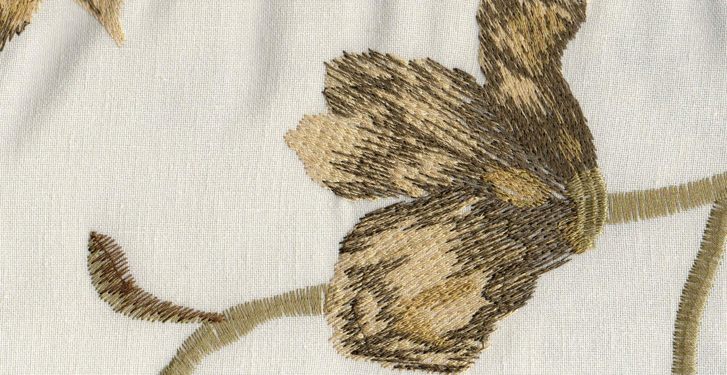Olive /17828/17424