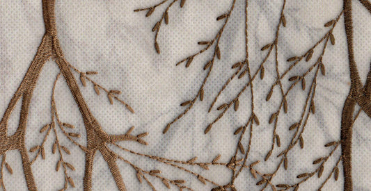 Olive /17831/17424