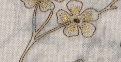 Olive /17833/17424