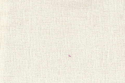 MESSI - ALLIUM PLAIN/204