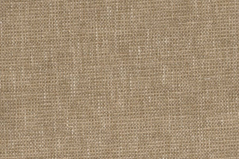 MESSI - ALLIUM PLAIN/205