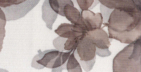 Accent/20711/18232