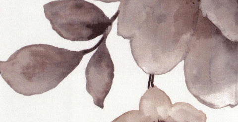Accent/20712/18232