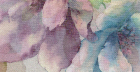 Accent/20717/18232