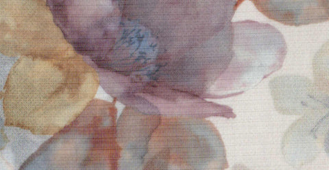 Accent/20723/18232