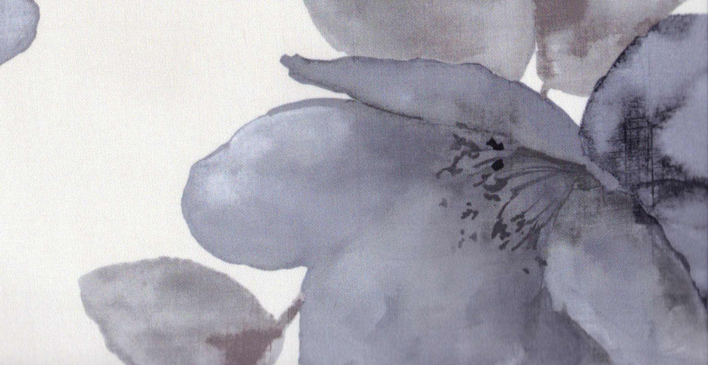 Accent/20736/18232