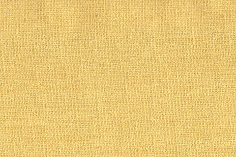 MESSI - ALLIUM PLAIN/214