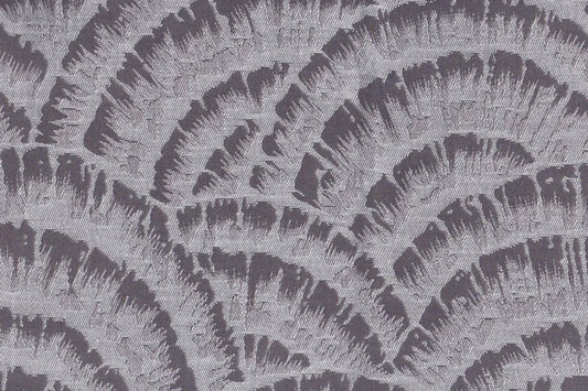 Ecuador/300836 Denali Fossil