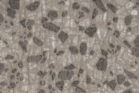 Taksh/301124  Ragna Ash Rose
