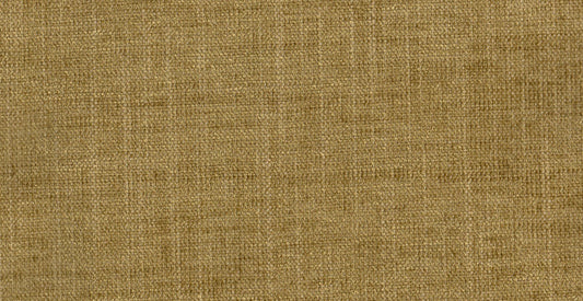 AP/Essential 10/102934 Regale khaki/18455