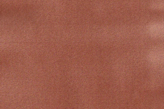 AP-ESSENTIALS 40/BAKSHI APRICOT 112354