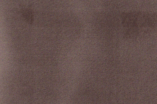 AP-ESSENTIALS 40/BAKSHI GRIFFON 112339