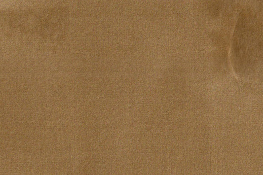 AP-ESSENTIALS 40/BAKSHI BISCOTTI 112367