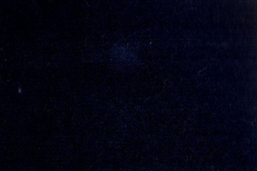 AP-ESSENTIALS 40/BAKSHI BLUEBERRY 112292