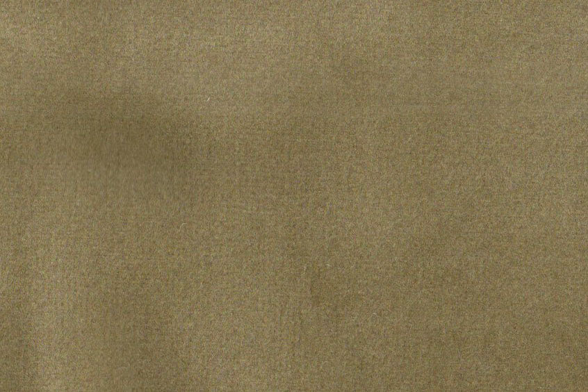 AP-ESSENTIALS 40/BAKSHI COOKIE 112215