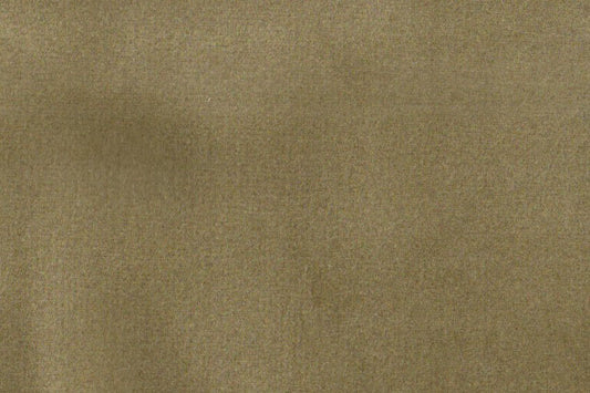 AP-ESSENTIALS 40/BAKSHI COOKIE 112215