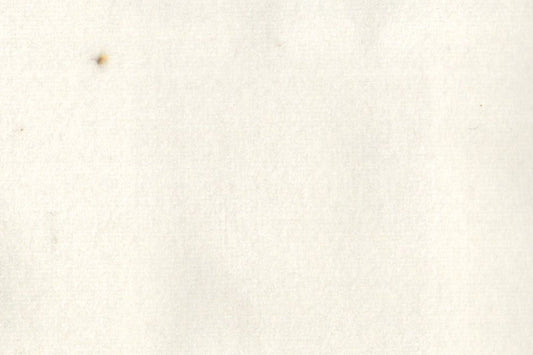 AP-ESSENTIALS 40/BAKSHI DAISY 112207