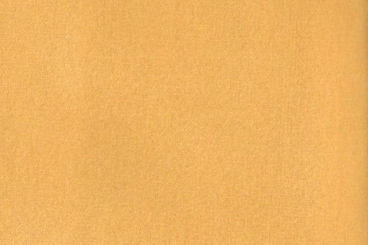 AP-ESSENTIALS 40/BAKSHI DESERT 112366