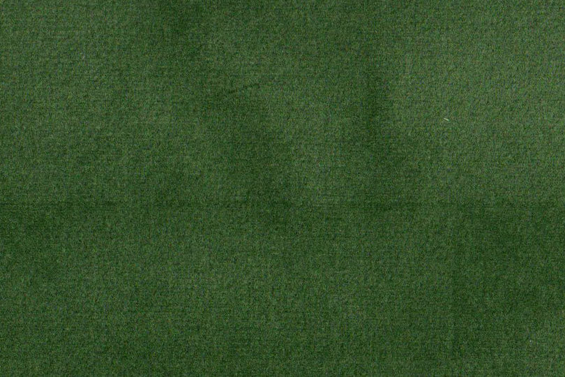 AP-ESSENTIALS 40/BAKSHI FOREST 112212