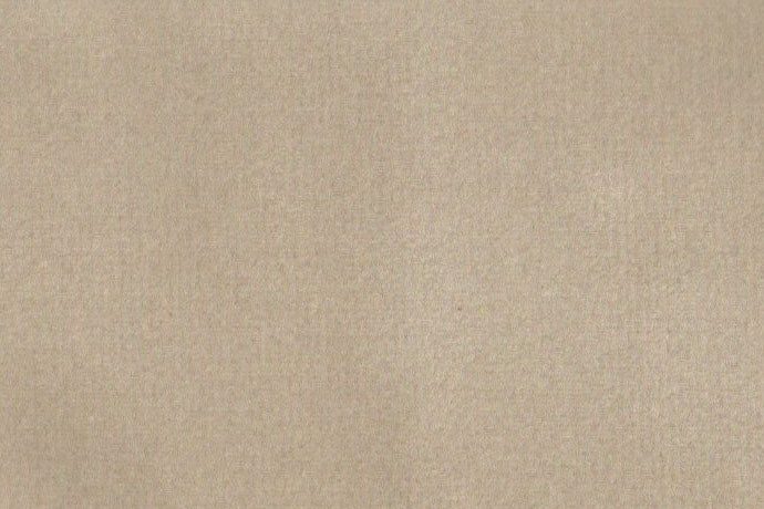 AP-ESSENTIALS 40/BAKSHI MOSS 112247