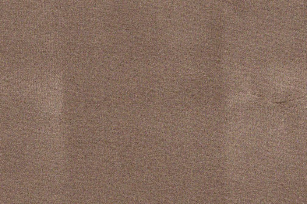 AP-ESSENTIALS 40/BAKSHI MUSHROOM 112332