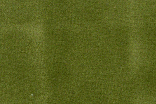 AP-ESSENTIALS 40/BAKSHI PARROT 112301