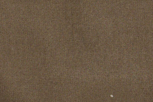 AP-ESSENTIALS 40/BAKSHI PEANUT 112323